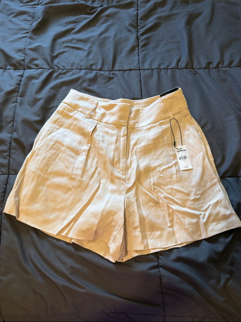 NWT Express Pleated Super High Rise Stylist Shorts - Cream
